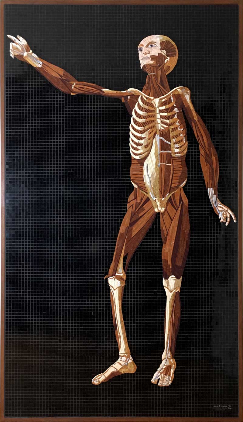 Marble Mosaic of Table 33 of Eustachi’s Tabulae anatomicae, 2019