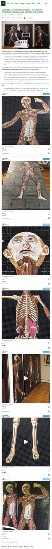 “Life Sized Mosaic Recreations of 16th Century Anatomical Engravings by Bartolomeo Eustachi.” Laughing Squid, 8 Jan. 2019