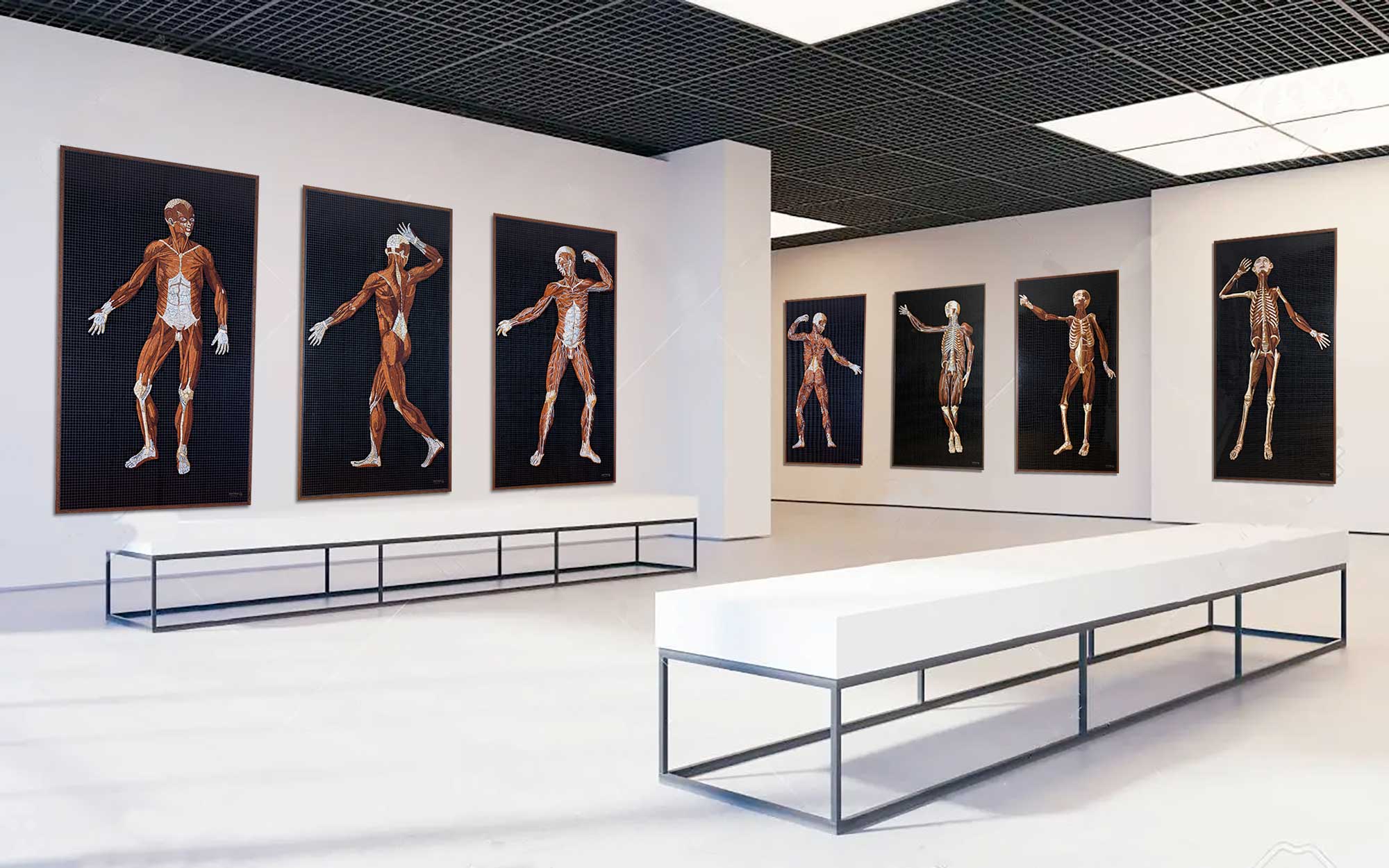 Composite view showing the completed panels of Anatomy Set in Stone installed in a gallery