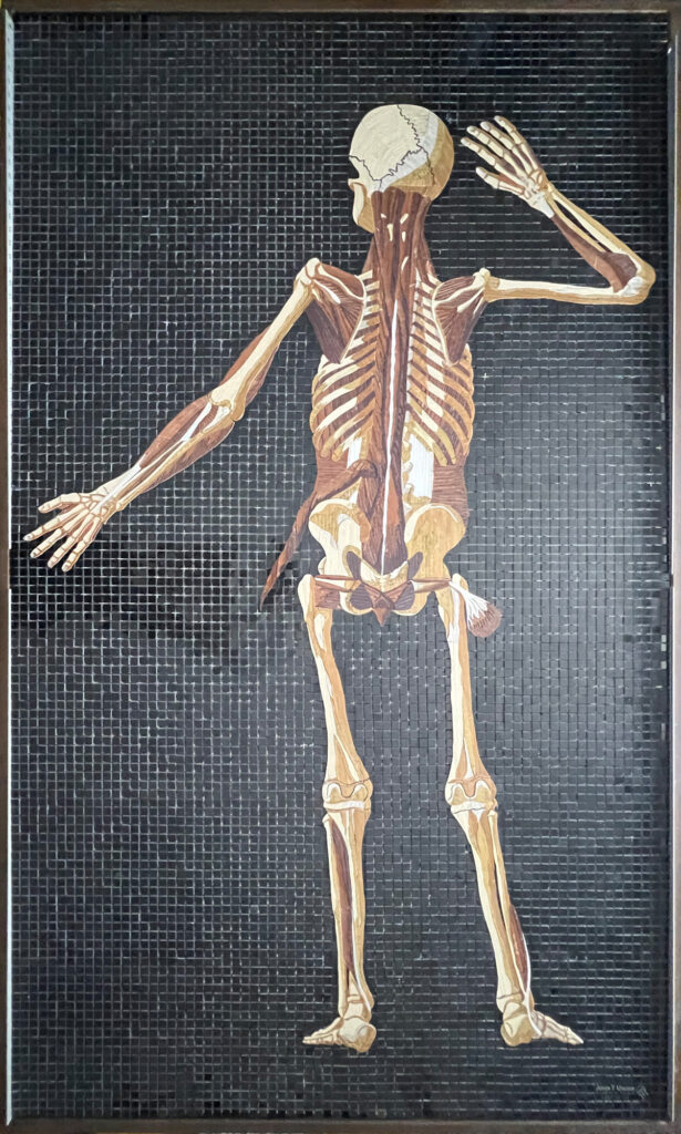 Marble mosaic of Table 37 of Eustachi's Tabulae anatomicae, 2026, by Rachael Que Vargas