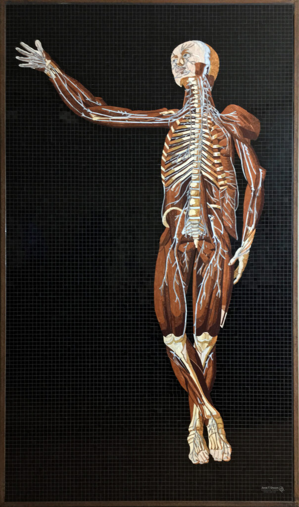 Marble mosaic of Table 19 of Eustachi's Tabulae anatomicae, 2019, by Rachael Que Vargas, from Anatomy Set in Stone