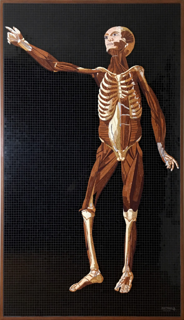 Marble mosaic of Table 33 of Eustachi's Tabulae anatomicae, 2019, by Rachael Que Vargas, from Anatomy Set in Stone
