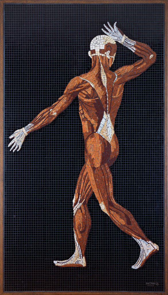 Marble mosaic of Table 31 of Eustachi's Tabulae anatomicae, 2017, by Rachael Que Vargas, from Anatomy Set in Stone