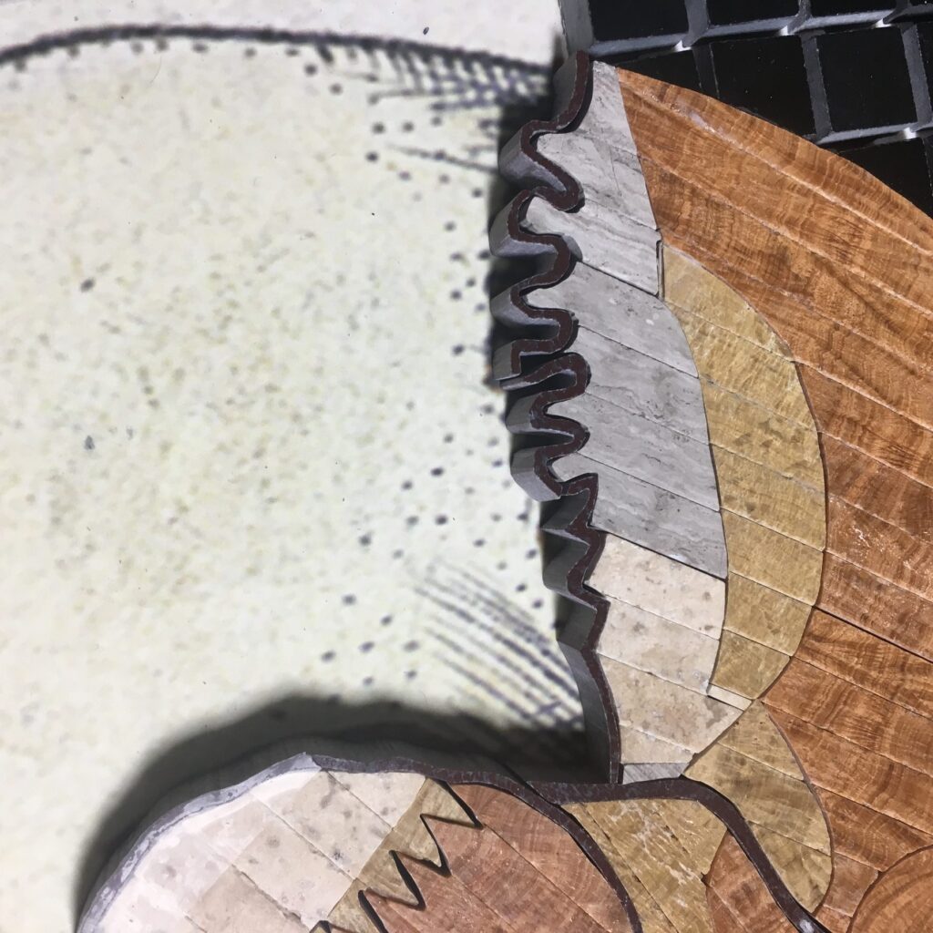 A cranial suture cut in stone, matched on the right side, with the left side still bare to the drawing beneath