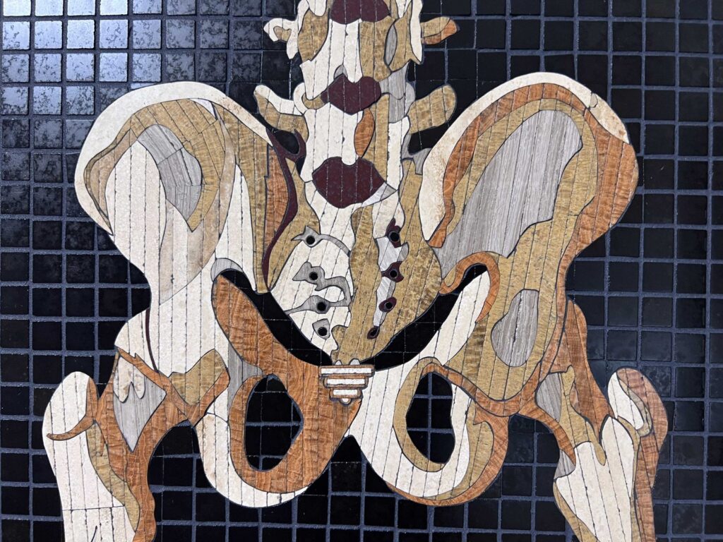 Detail of a marble mosaic pelvis, sacrum, and femoral heads, from Anatomy Set in Stone Table 44, 2020, by Rachael Que Vargas